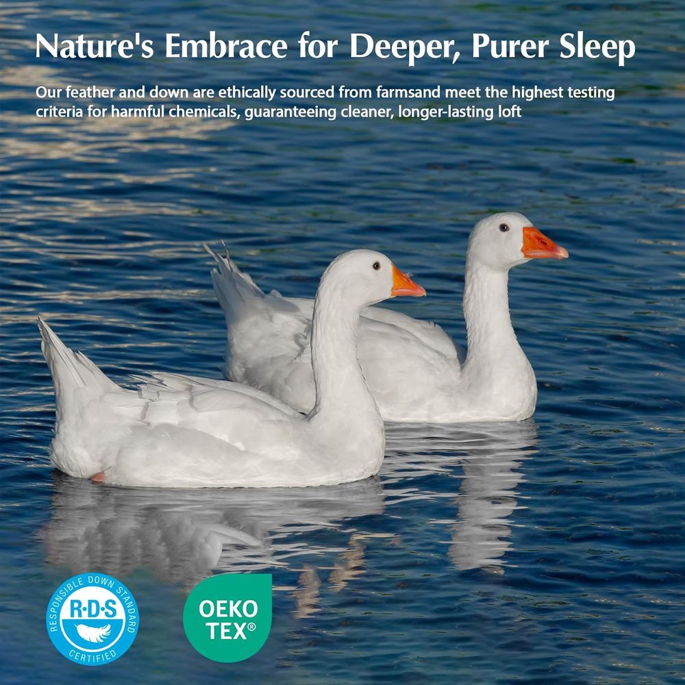 Goose eather Down iber Comorte – обзор и цена Duvet Insert White
